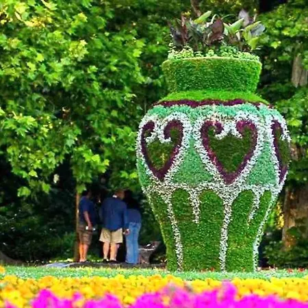 Lejlighed Park - Brand New Studio! Ruse